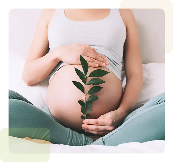 Pregnant woman holds green sprout plant near her belly as symbol of new life, wellbeing, fertility, unborn baby health.